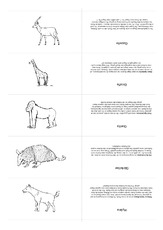 Kartei Zoo 3.pdf